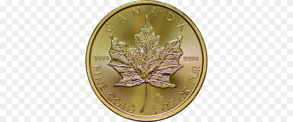 Backdates Coin, Gold, Leaf, Plant Free Png Download