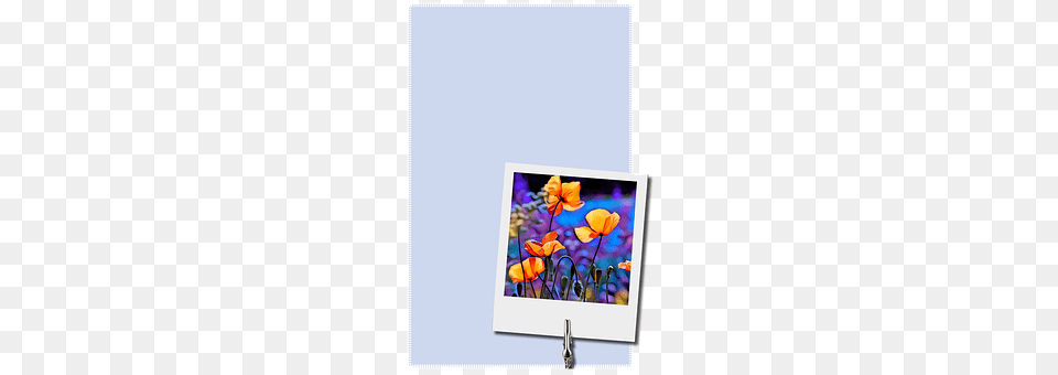 Background Canvas, Flower, Purple, Plant Free Transparent Png