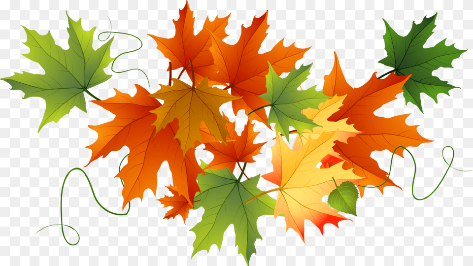 Background Autumn Leaves Clipart, Leaf, Plant, Tree, Maple Free Png Download