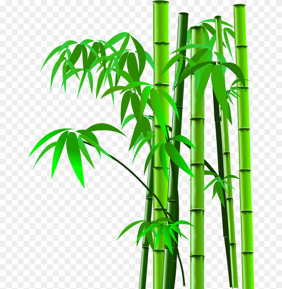 Background Bamboo Bamboo Tree Cartoon, Plant Free Transparent Png