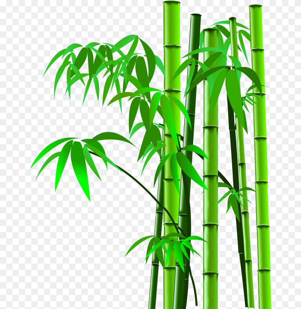 Background Bamboo Tree Cartoon, Plant Png Image