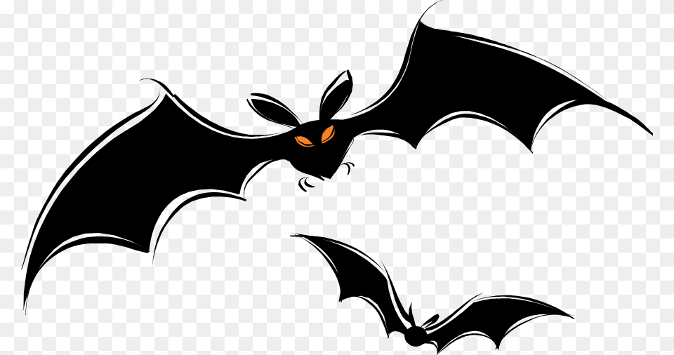 Background Bats, Animal, Mammal, Wildlife, Person Free Transparent Png