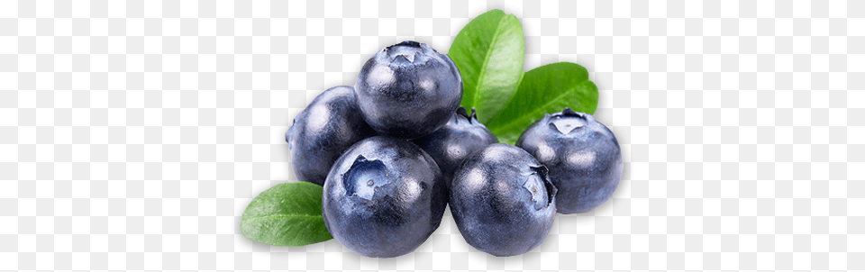 Background Blueberry, Berry, Food, Fruit, Plant Png