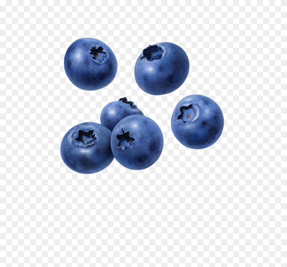 Background Blueberry, Berry, Food, Fruit, Plant Png