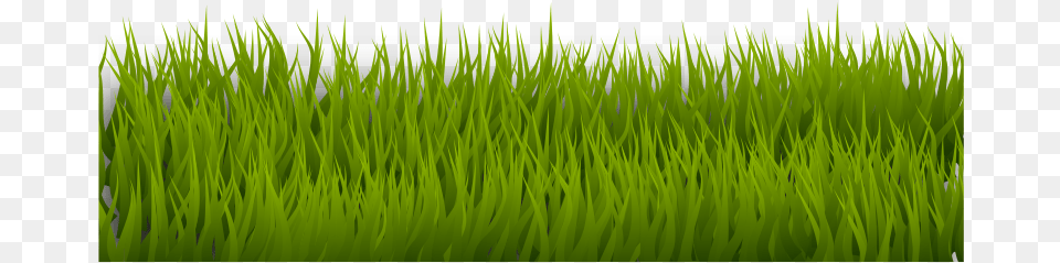 Background Border Grass Green Herb Landsca Grass Svg, Lawn, Plant, Vegetation, Aquatic Png