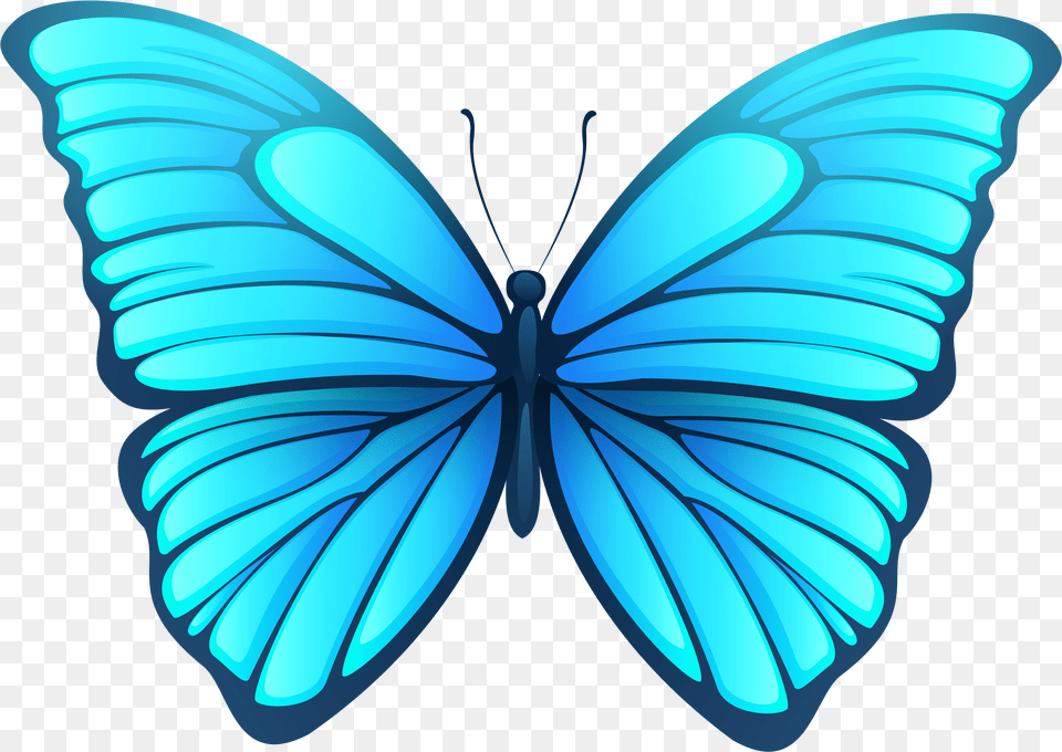 Background Butterfly Png