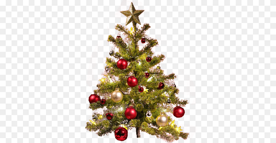 Background Christmas Tree No Background, Christmas Decorations, Festival, Christmas Tree, Plant Free Png Download