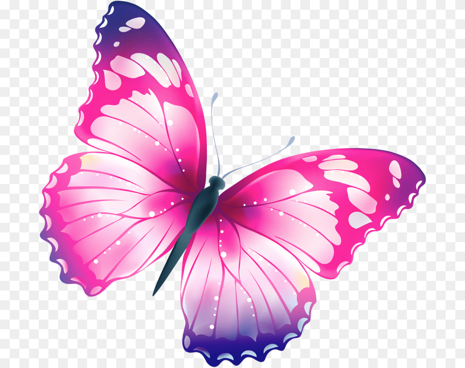 Background Clipart Butterfly, Animal, Flower, Insect, Invertebrate Free Png Download