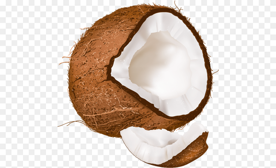 Background Coconut Clipart, Food, Fruit, Plant, Produce Png