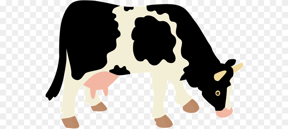 Background Cow Icon, Animal, Cattle, Dairy Cow, Livestock Free Png Download