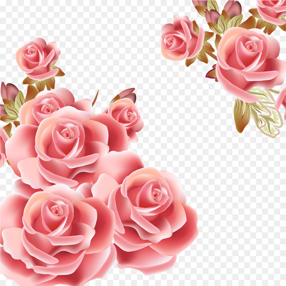 Background Design Of Flower, Rose, Plant, Petal, Graphics Png Image