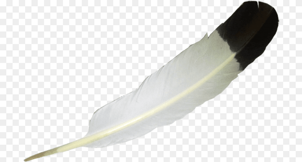 Background Eagle Feather White Background, Bottle, Blade, Dagger, Knife Free Png Download