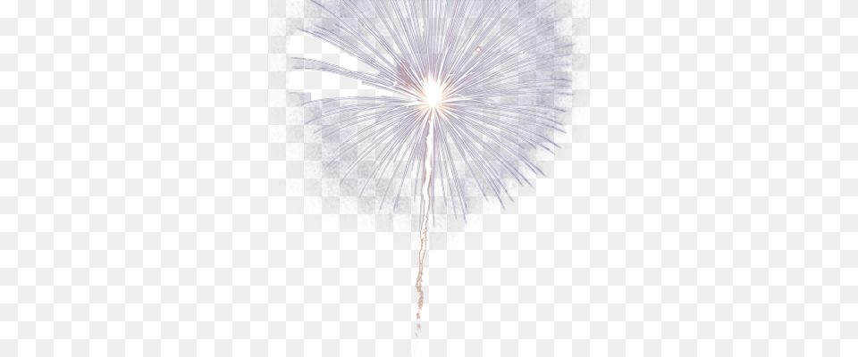 Background Fireworks Psd Detail Firework Psd, Flare, Light, Chandelier, Lamp Free Png Download