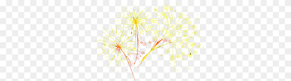 Background Fireworkstransparent Dlpngcom Dandelion, Art, Graphics, Pattern, Fireworks Png Image