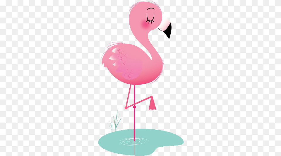 Background Flamingo Clipart, Animal, Bird Png