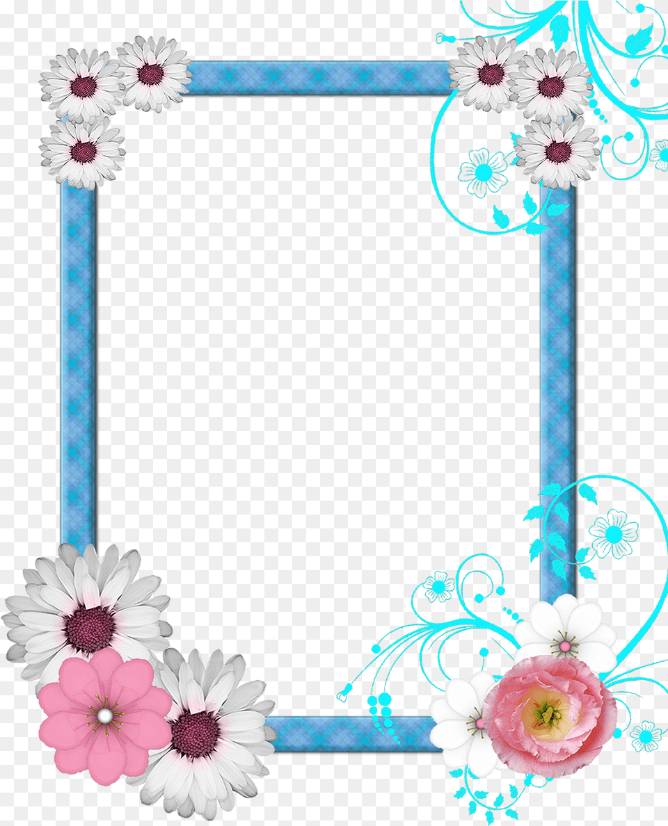 Background Flower Clipart Border, Plant, Rose Free Png
