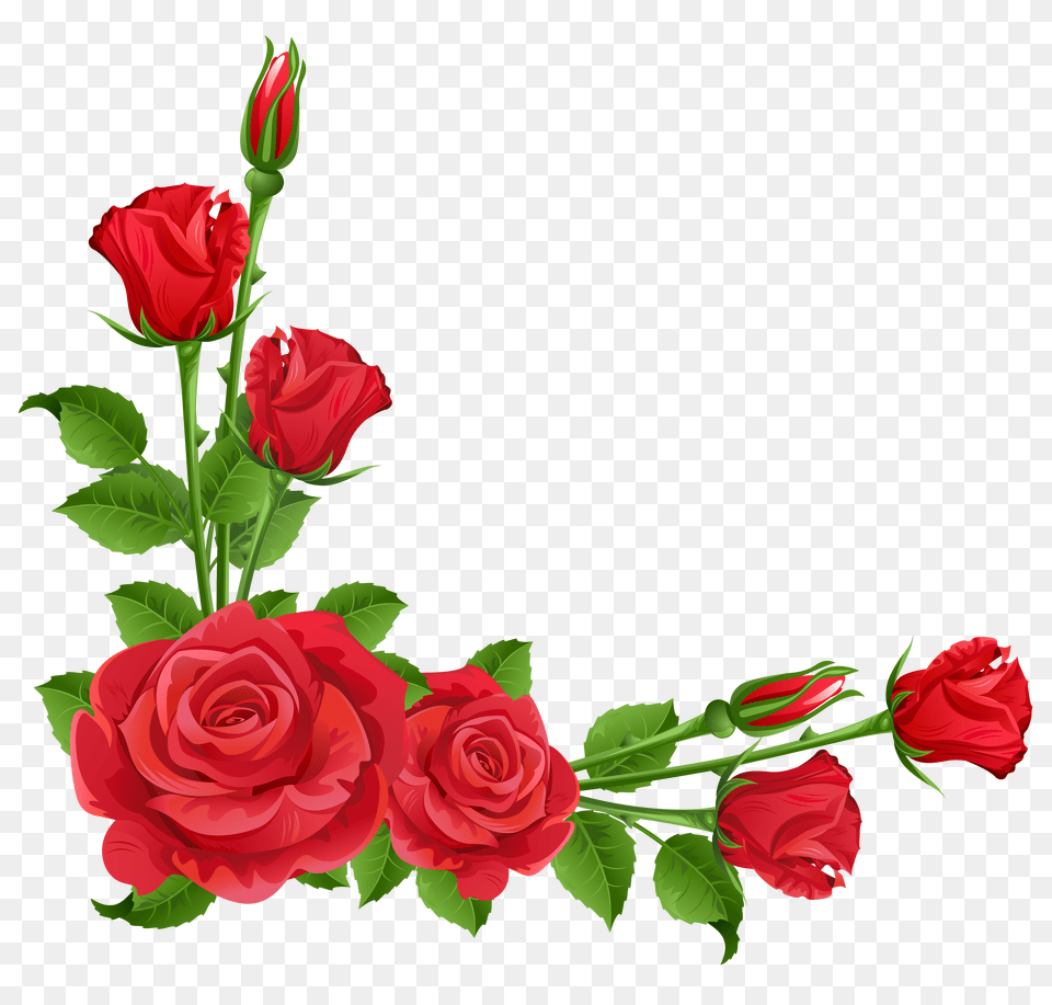 Background Flower Rose Border Design, Plant, Flower Arrangement, Art, Graphics Free Png Download