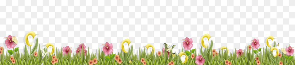 Background Grass And Flowers Clipart, Nature, Flower, Spring, Plant Png