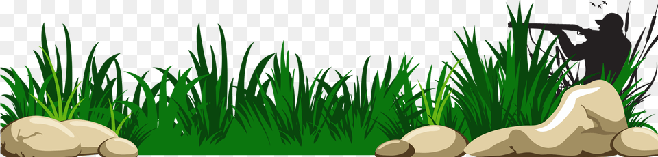 Background Grass Clipart, Green, Vegetation, Plant, Aquatic Free Png