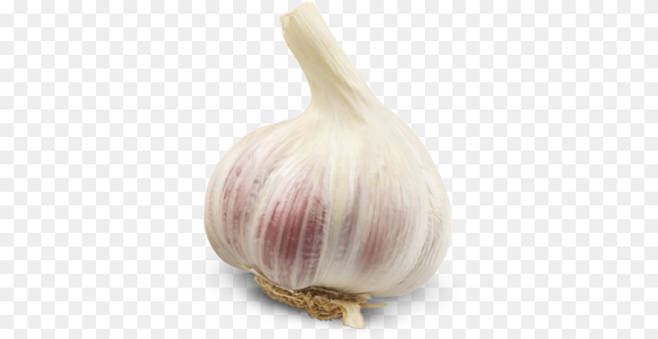 Background Head Of Garlic, Food, Produce, Plant, Vegetable Free Png