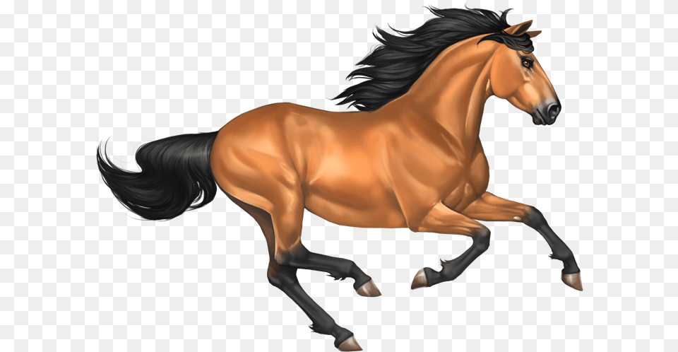Background Horse Clipart, Animal, Mammal, Stallion, Colt Horse Png Image
