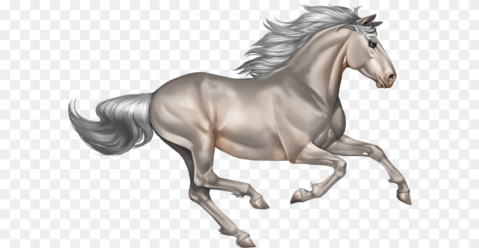 Background Horse Clipart, Animal, Mammal, Andalusian Horse, Stallion Png Image