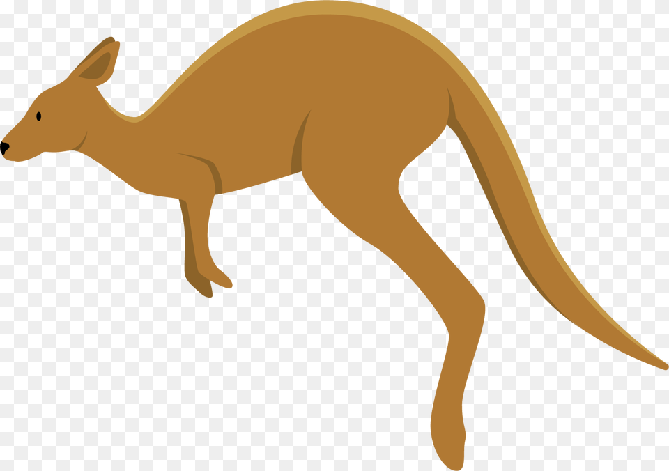 Background Kangaroo Clipart, Animal, Mammal Free Transparent Png