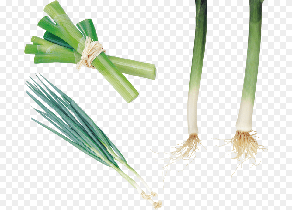 Background Leek Transparent Welsh Onion, Food, Produce, Plant, Vegetable Free Png