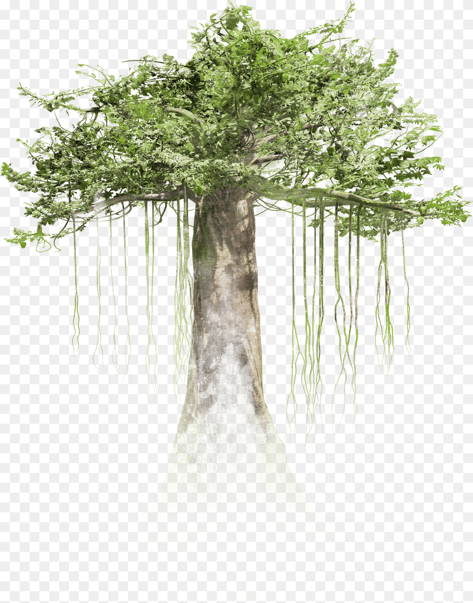 Background Mob Pc The Trees In Forest Free Transparent Png