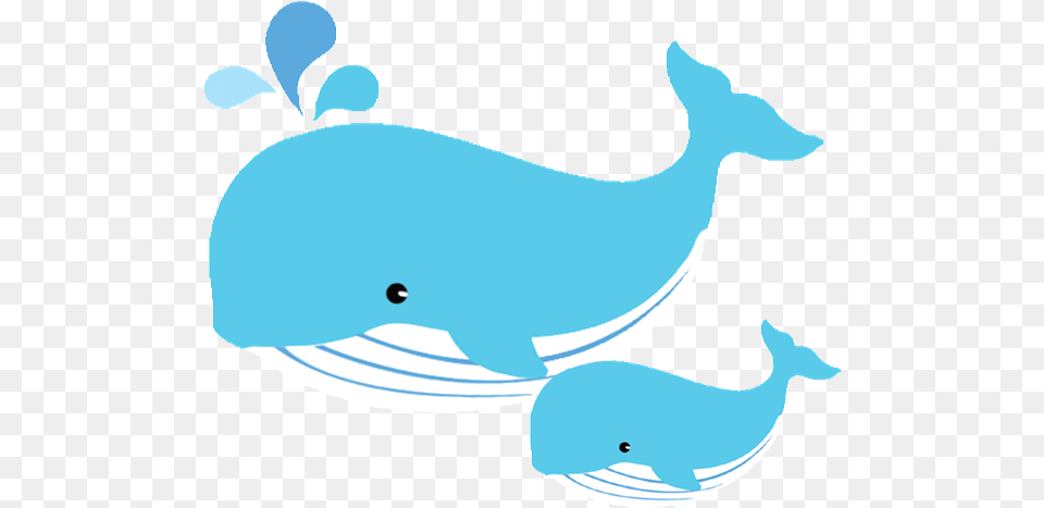 Background Mom And Baby Whale Clipart, Animal, Mammal, Sea Life, Person Png