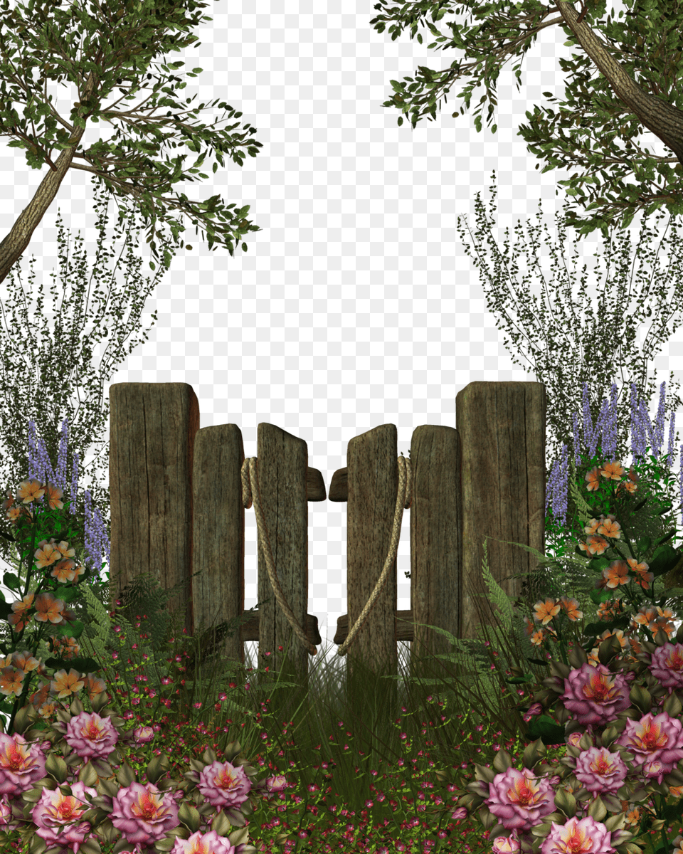 Background Nature, Flower, Flower Arrangement, Tree, Plant Free Png Download