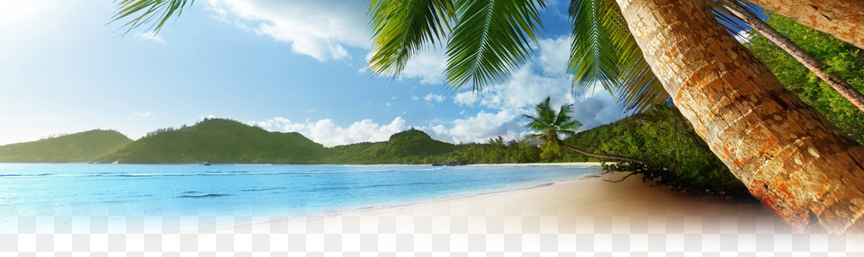Background Nls Island Background, Outdoors, Tropical, Scenery, Landscape Free Transparent Png