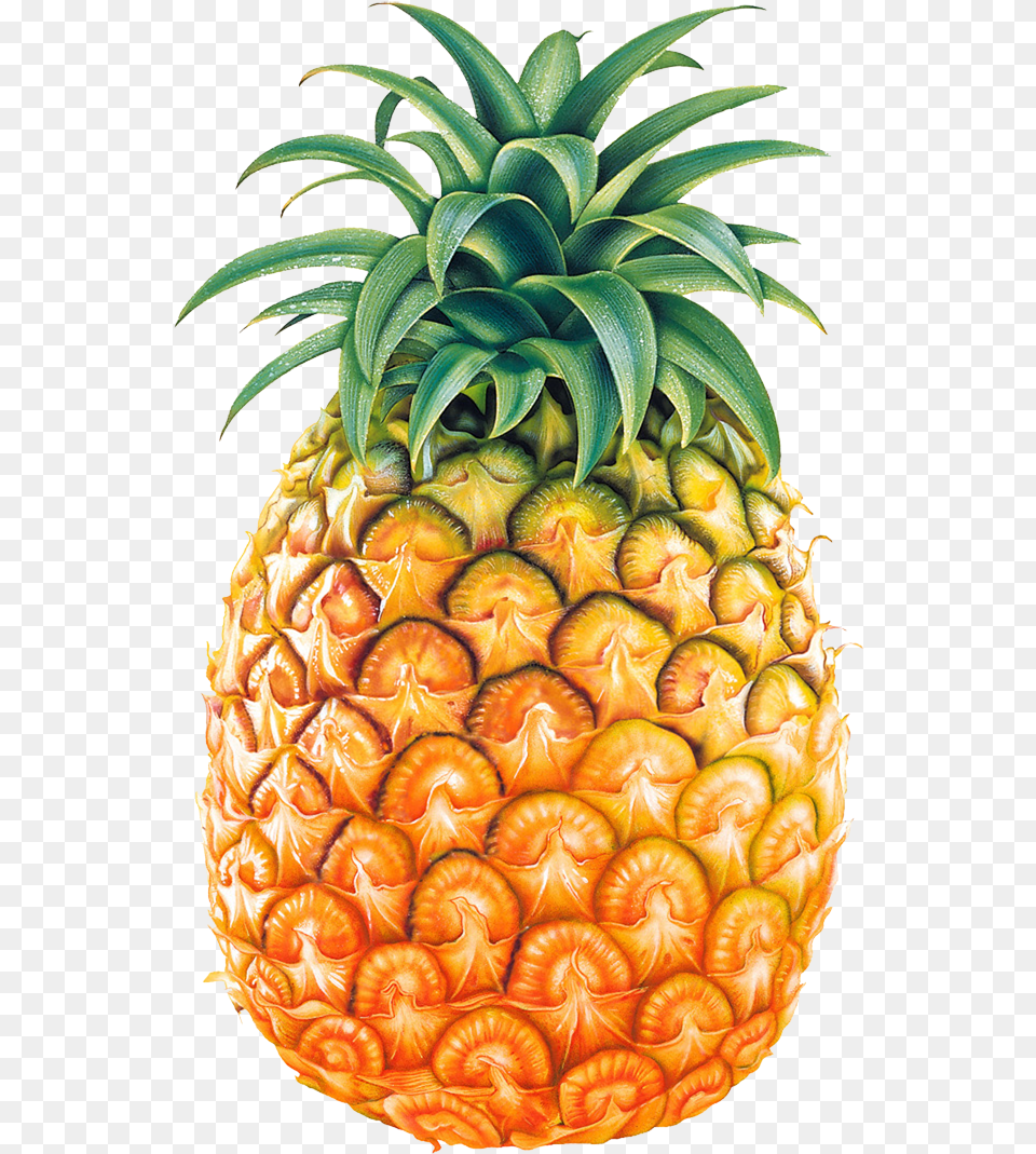 Background Pineapple, Food, Fruit, Plant, Produce Free Png