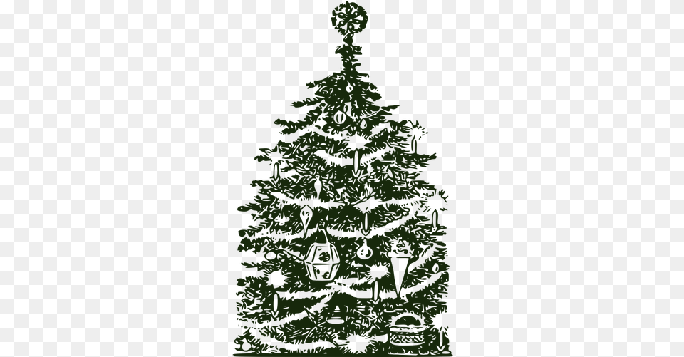 Background Pohon Natal Christmas Tree Public Domain, Plant, Fir, Pine, Adult Free Transparent Png