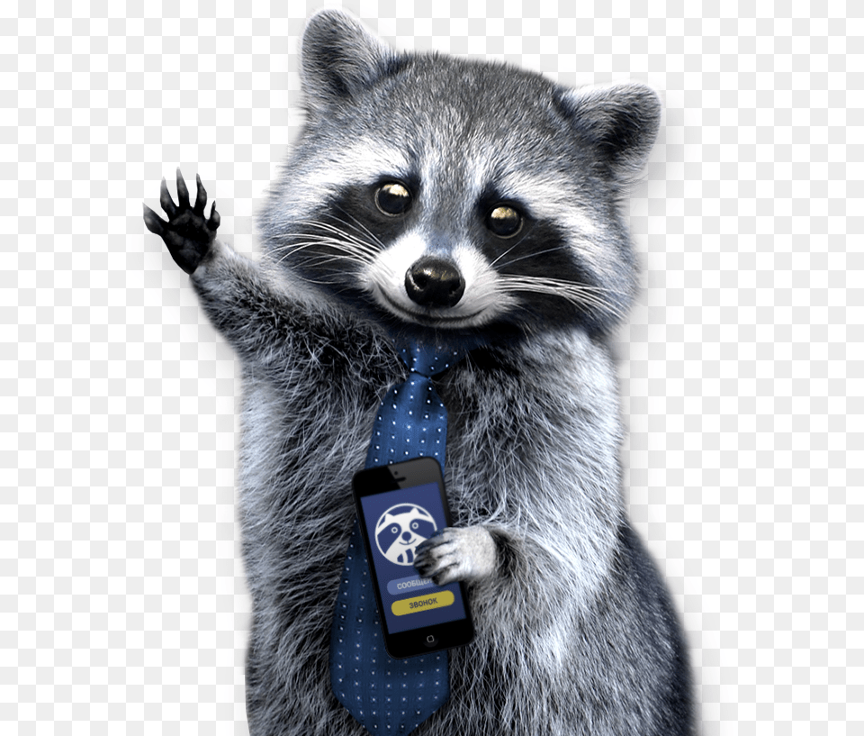 Background Raccoon, Accessories, Tie, Formal Wear, Mammal Png Image