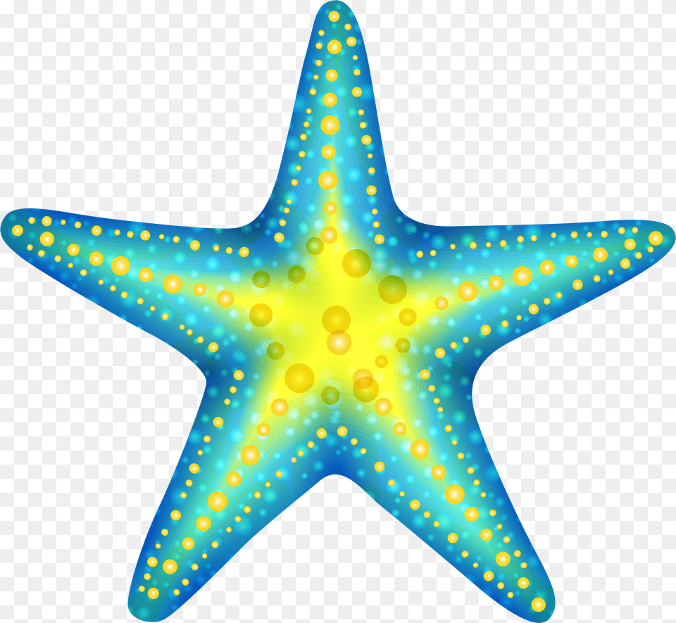 Background Starfish Png Image