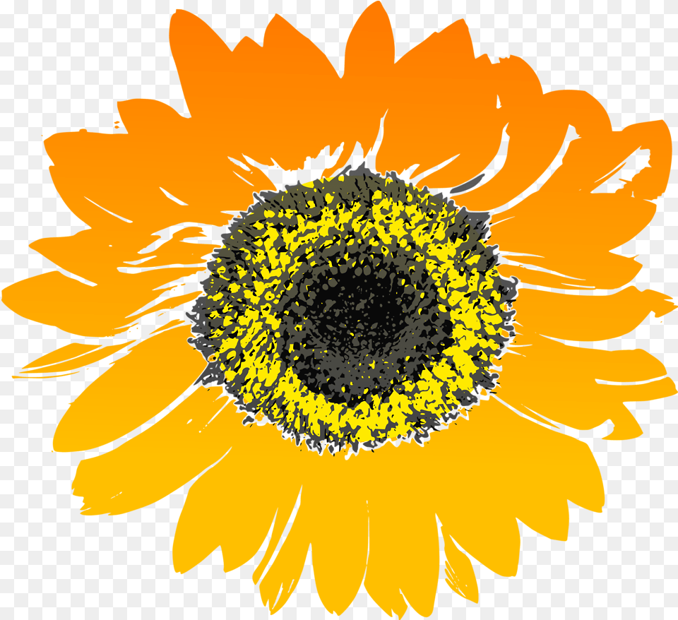 Background Sunflower Clipart Watercolor, Flower, Plant, Daisy Png Image