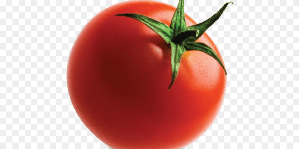 Background Tomato, Food, Plant, Produce, Vegetable Free Png