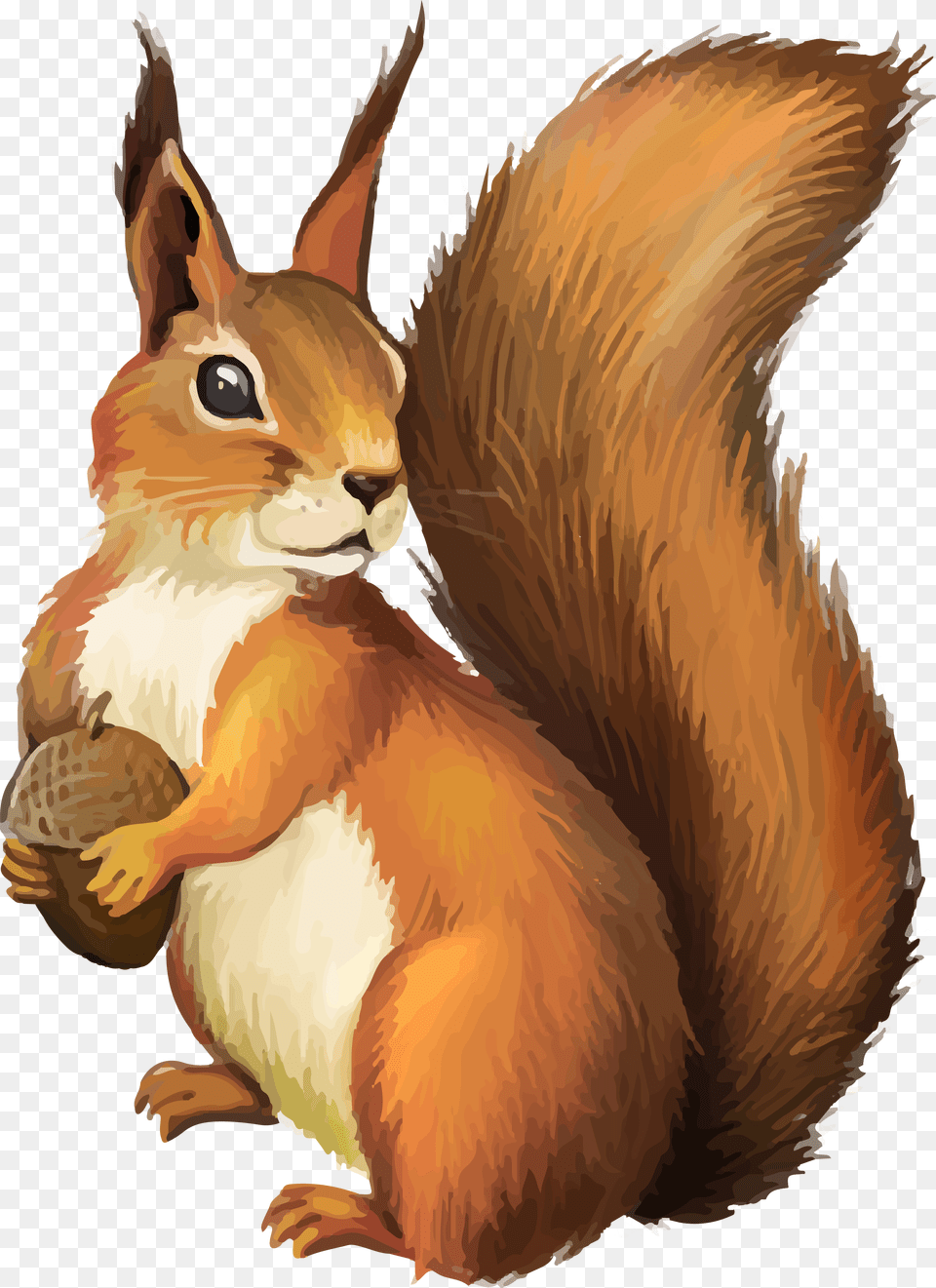 Background Transparent Background Squirrel Clipart, Animal, Mammal, Rodent, Kangaroo Free Png Download