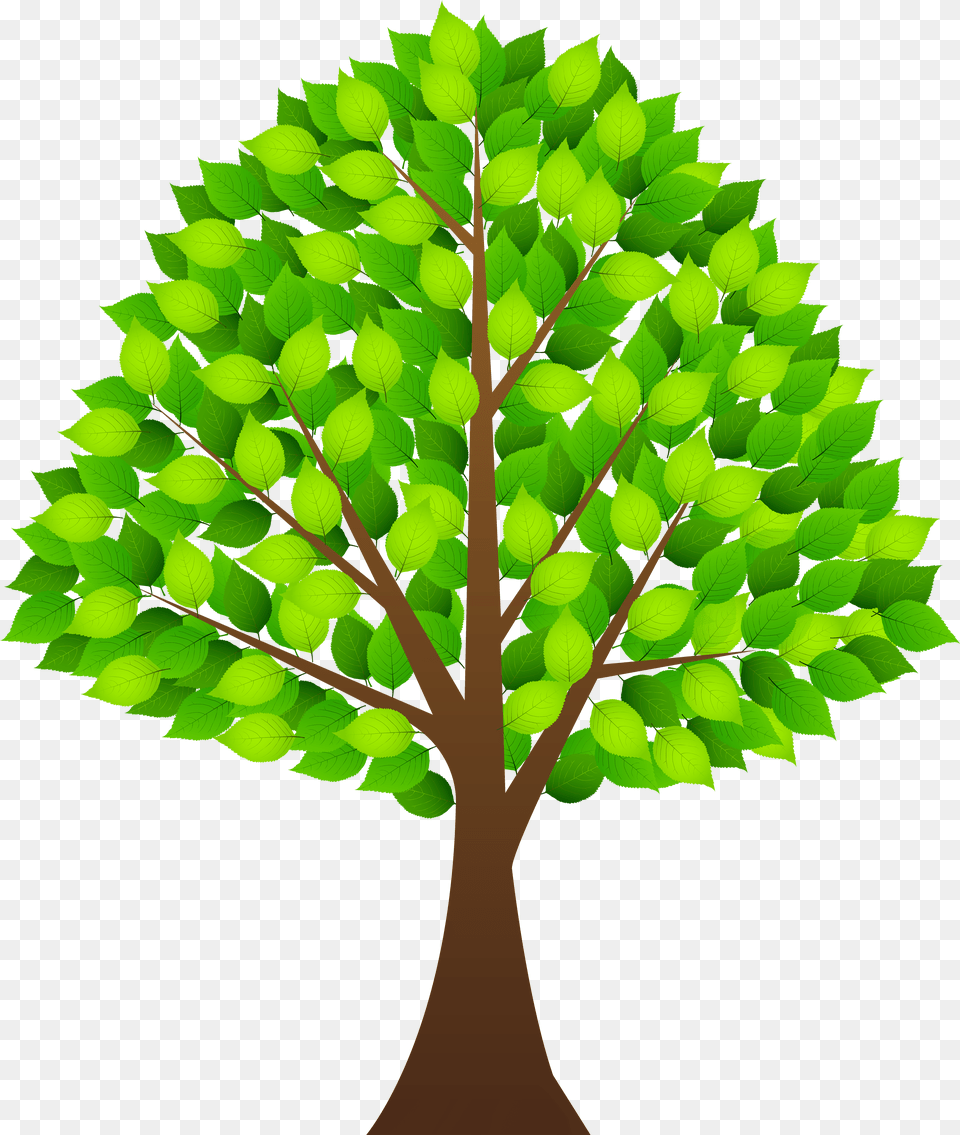 Background Tree Clipart, Animal, Bee, Insect, Invertebrate Free Transparent Png