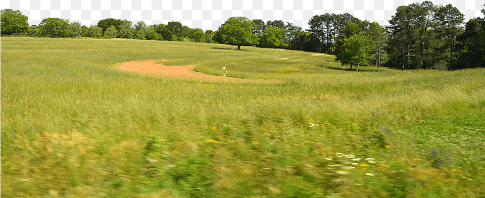 Background Tree Line, Countryside, Rural, Outdoors, Nature Free Png Download