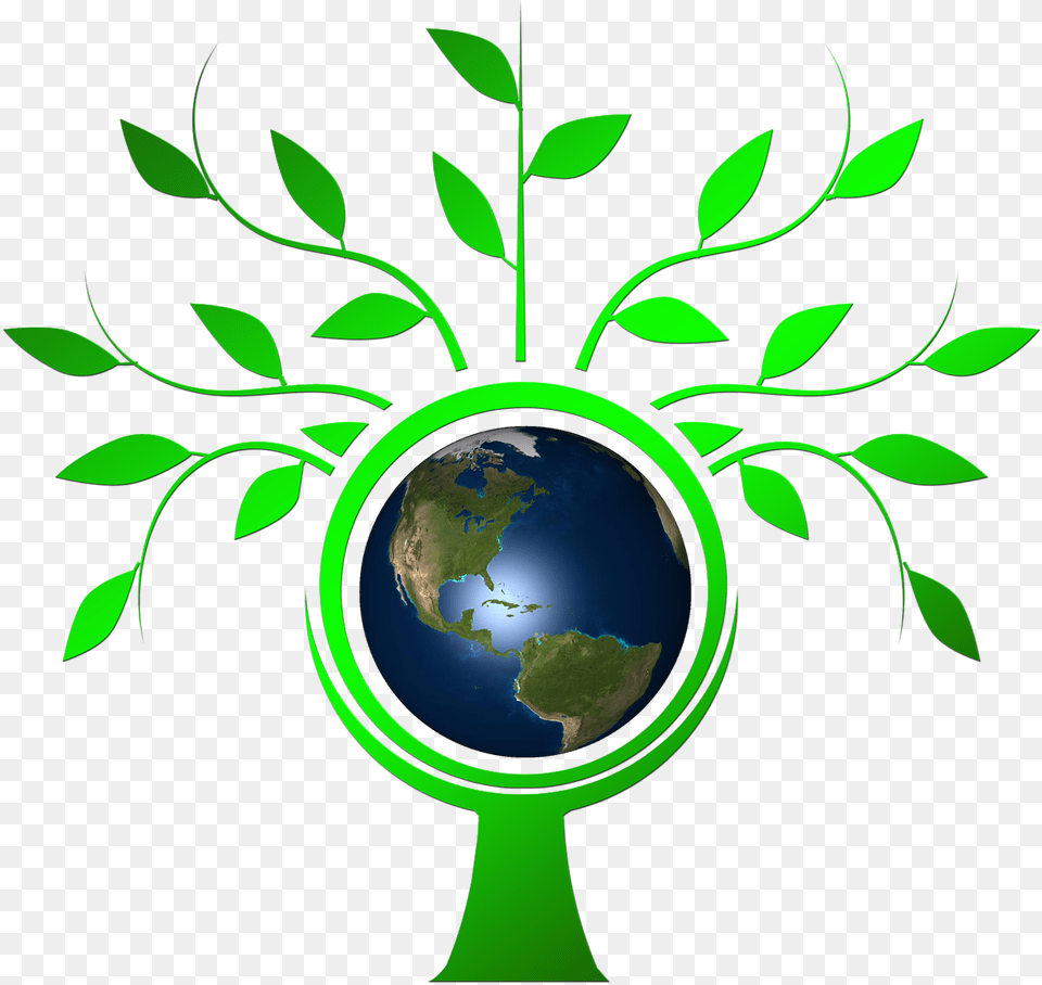 Background Tree Vectors, Green, Astronomy, Outer Space, Plant Png Image