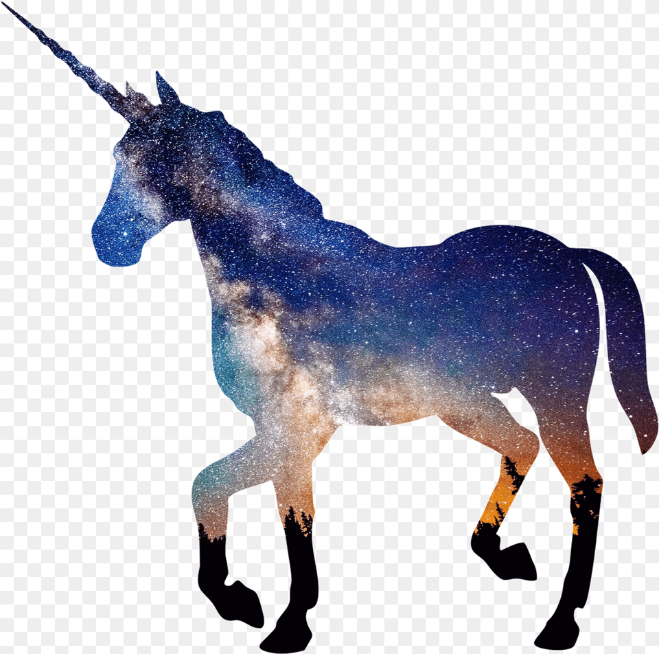 Background Unicorn, Animal, Mammal, Horse Png Image