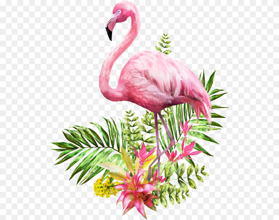 Background Watercolor Background Flamingo, Animal, Bird Free Png Download