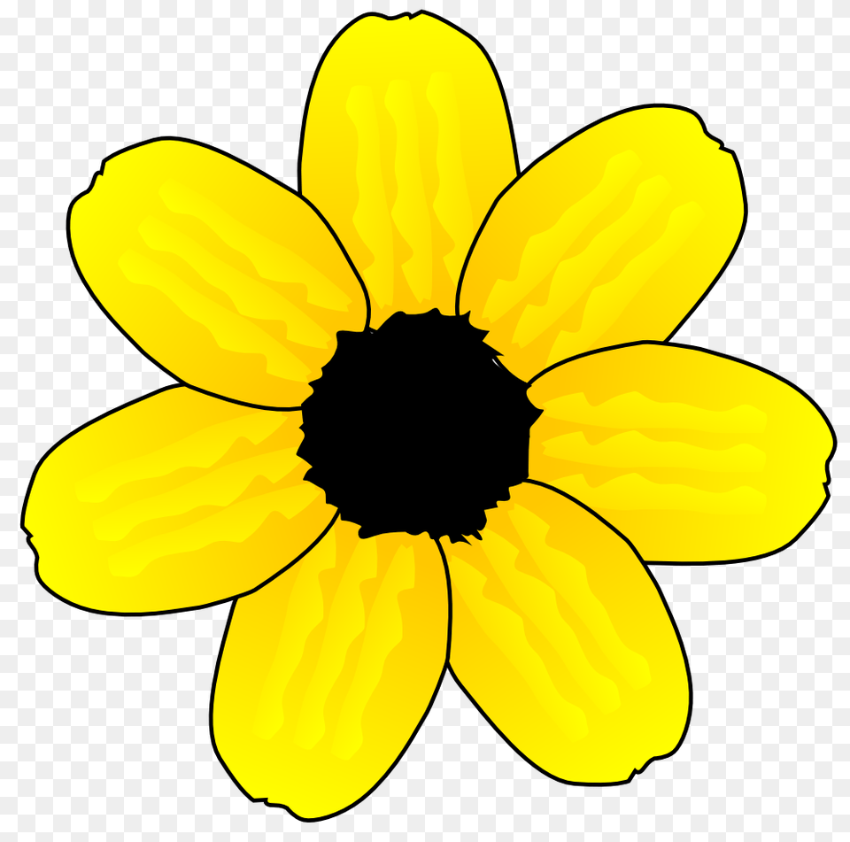 Background With Little Yellow Flowers Yellow Flower Clipart Background, Anemone, Daisy, Petal, Plant Free Transparent Png