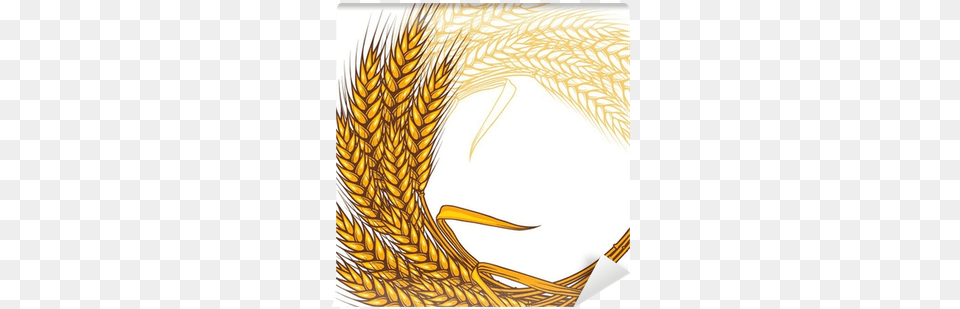 Background With Ripe Yellow Wheat Ears Vector Illustration Yellow Wheat Background, Food, Grain, Produce, Adult Free Png Download