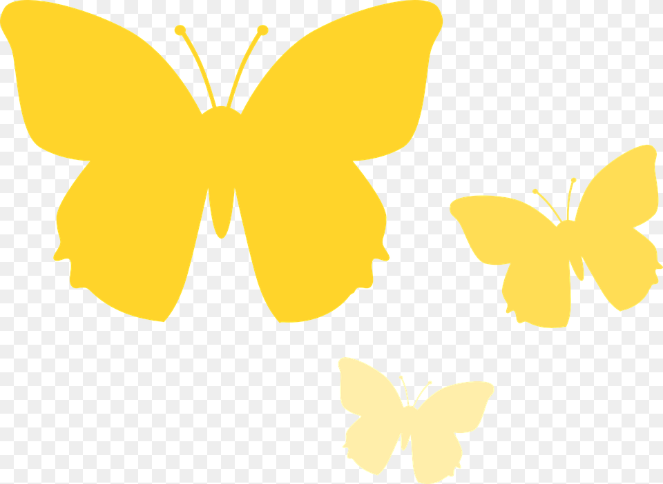 Background Yellow Butterflies Clipart, Daffodil, Flower, Petal, Plant Png Image