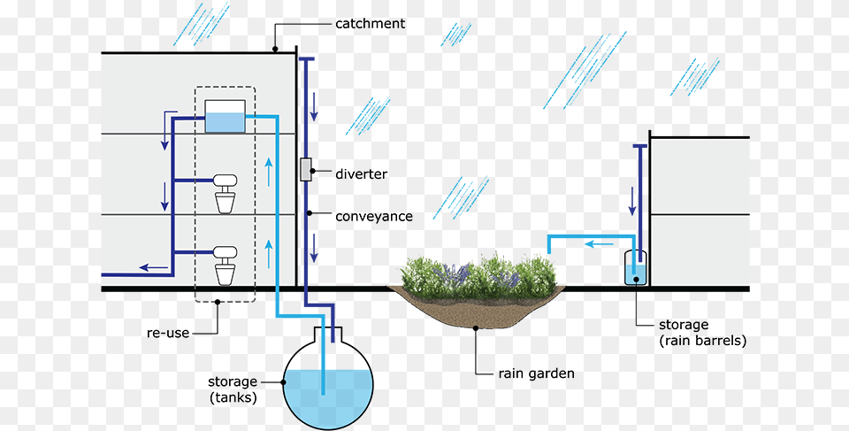 Backgrounds Rainwater Harvesting Rain Harvesting System, Plant, Potted Plant, Cad Diagram, Diagram Png Image