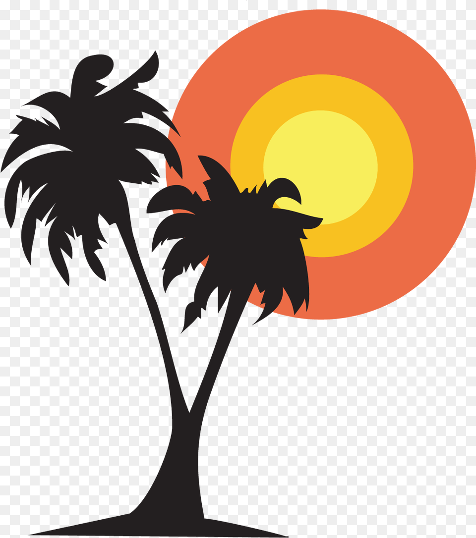 Backgrounds V Coconut Tree Vector, Night, Outdoors, Nature, Plant Png