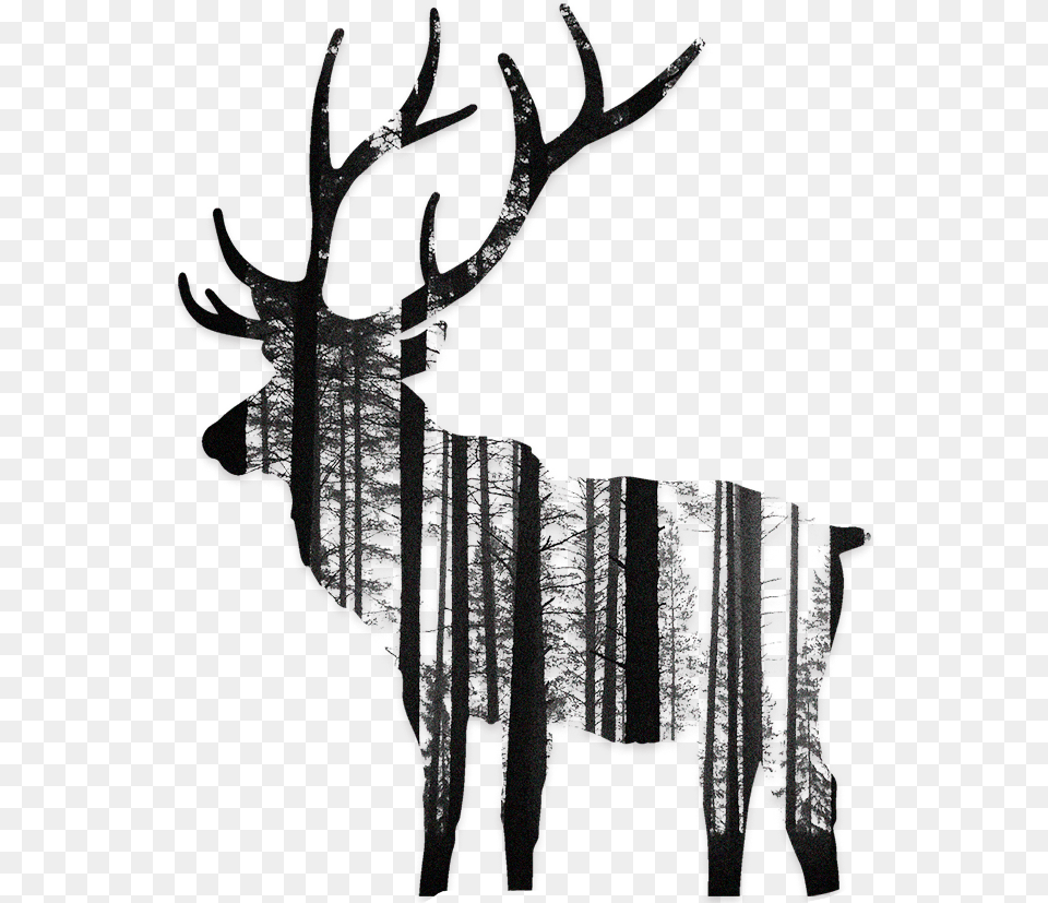 Backplate Pre Deer, Animal, Wildlife, Mammal, Ice Png Image